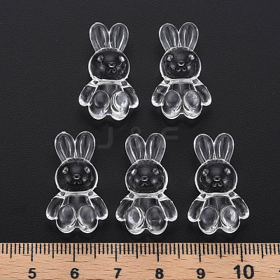 Transparent Acrylic Beads MACR-S373-81-B01-1