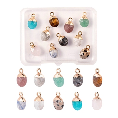 10Pcs 10 Style Natural Gemstone Charms G-LS0002-15-1