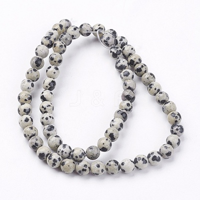 Natural Dalmatian Jasper Stone Bead Strands X-G-R193-14-6mm-1