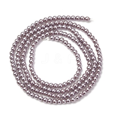 Electroplated Shell Pearl Beads Strands BSHE-G041-2mm-02-1