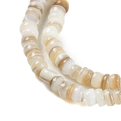 Natural Freshwater Shell Beads Strands BSHE-H109-13A-1