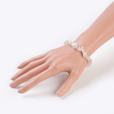 Natural White Moonstone Stretch Bracelets BJEW-JB03681-09-1
