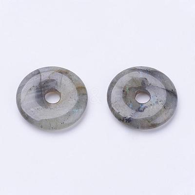 Natural Labradorite Pendants G-F524-B13-1