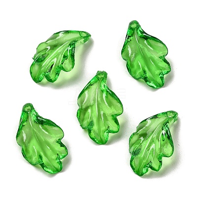Transparent Acrylic Pendant OACR-E039-69E-1