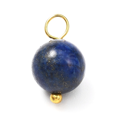 Natural Mixed Gemstone Charms PALLOY-JF00992-02-1
