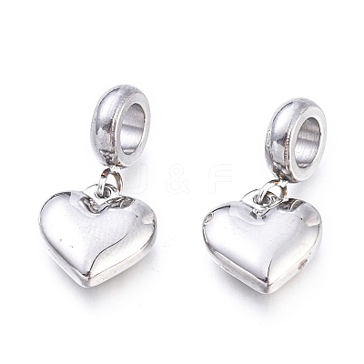 Non-Tarnish 304 Stainless Steel European Dangle Charms X-STAS-F243-39P-1