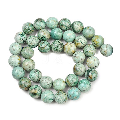 Natural Peruvian Turquoise(Jasper) Beads Strands G-F836-A02-10mm-1