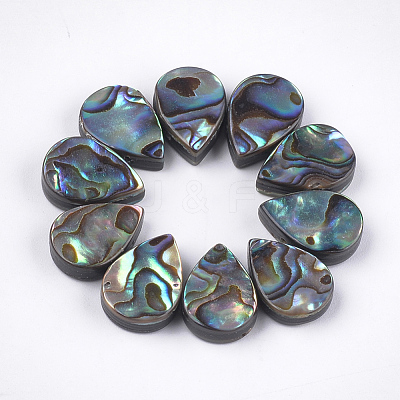 Abalone Shell/Paua Shell Beads SSHEL-T008-03-1