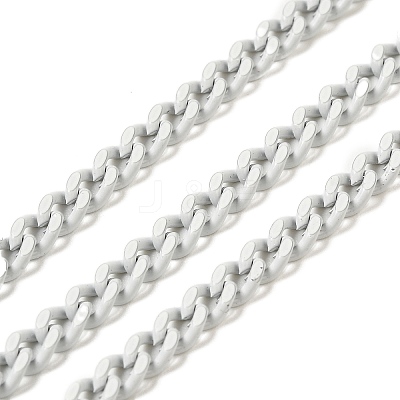 Spray Painted 304 Stainless Steel Curb Chains STAS-B067-05B-09-1
