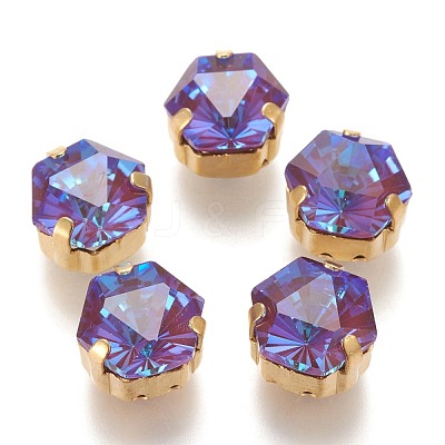 Sew on Rhinestone RGLA-P031-B01-M01-1