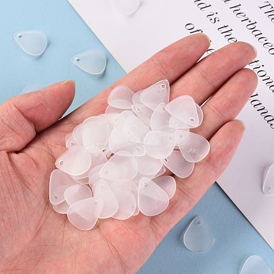 Transparent Frosted Acrylic Pendants MACR-S371-09A-701-1