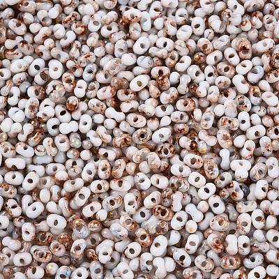Two Tone Baking Paint Glass Seed Beads SEED-C003-01L-1