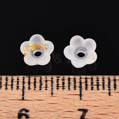 Frosted Transparent Acrylic Beads OACR-N137-72A-1