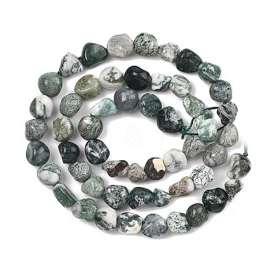 Natural Tree Agate Beads Strands G-D362-A01-1