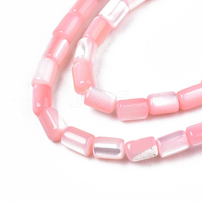 Natural Trochid Shell/Trochus Shell Beads Strands SHEL-N003-26-B05-1