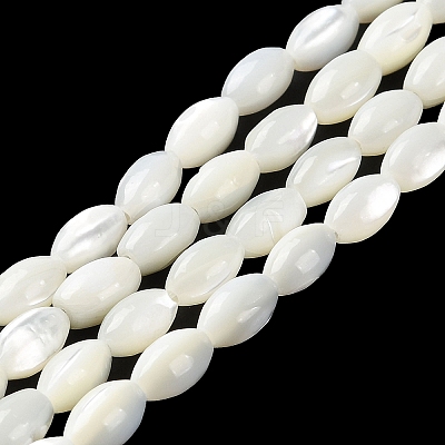 Natural Trochus Shell Beads Strands BSHE-E030-02C-1