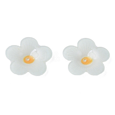 Plastic Beads KY-N015-173-1