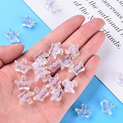 Transparent Acrylic Beads LS-MACR-S373-105-B02-1