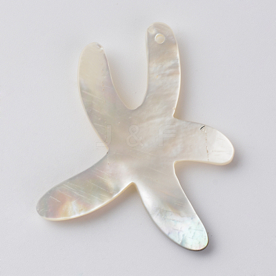 Sea Shell Pendants X-SSHEL-Q297-56-1