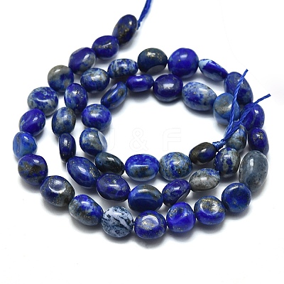 Natural Lapis Lazuli Beads Strands X-G-O186-B-17-1