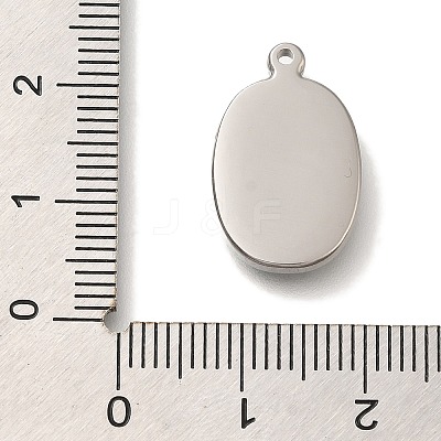 304 Stainless Steel Charms STAS-S148-11P-1