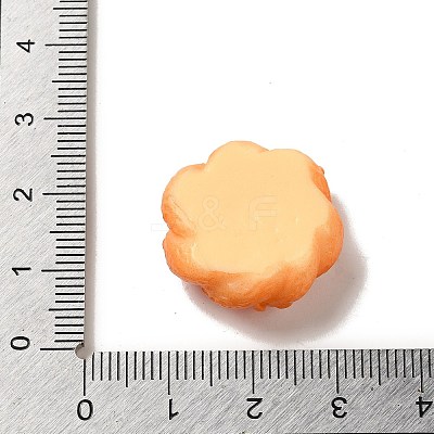 Opaque Resin Imitation Food Decoden Cabochons LS-CRES-A058-02B-1