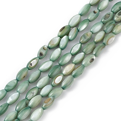 Natural Freshwater Shell Dyed Beads Strands SHEL-M018-13-11-1