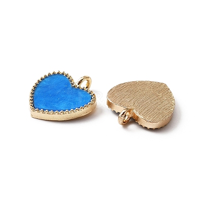 Acrylic Pendants OACR-CJC0002-03G-1