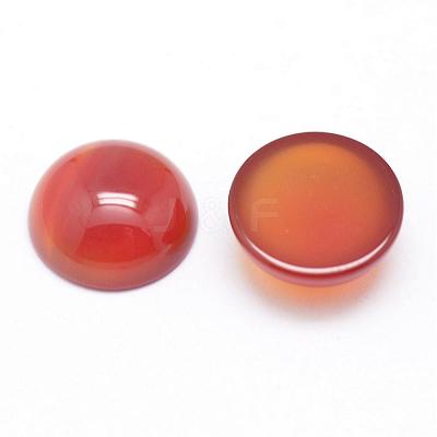 Natural Carnelian Cabochons G-P215-15-12mm-1