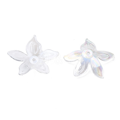 Transparent Acrylic Beads MACR-S373-102-C07-1