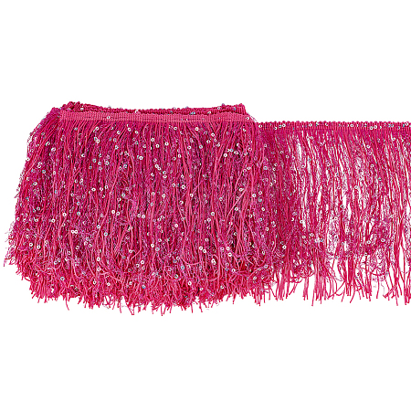 5M Paillette Tassel Polyester Ribbon Trim OCOR-BC0006-56C-1
