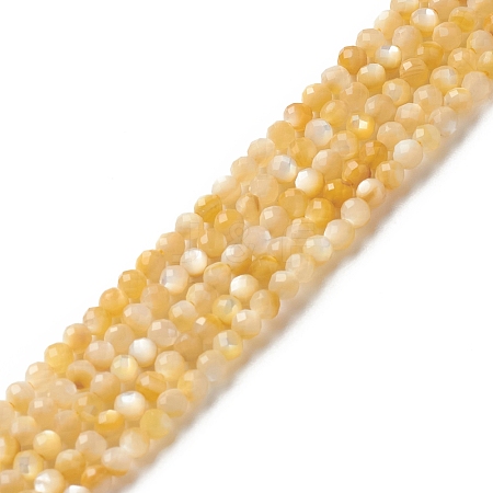 Natural Golden Yellow Shell Beads Strands SSHEL-G029-01C-1