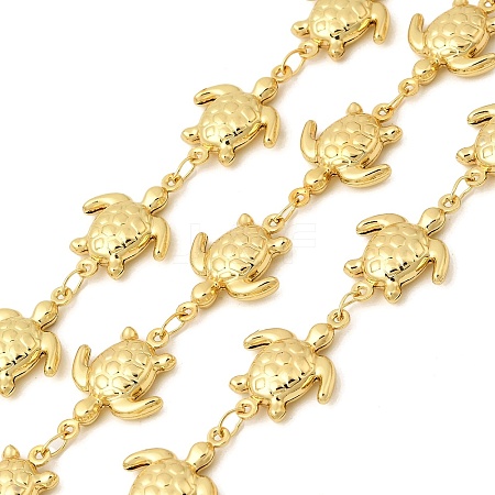 304 Stainless Steel Tortoise Link Chains CHS-C021-02A-G-1