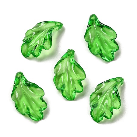 Transparent Acrylic Pendant OACR-E039-69E-1