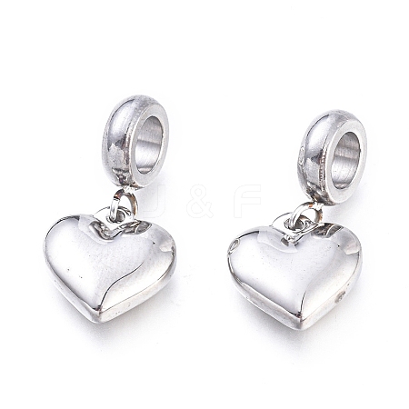 Non-Tarnish 304 Stainless Steel European Dangle Charms X-STAS-F243-39P-1