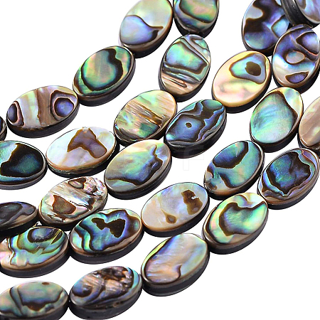Natural Abalone Shell/Paua Shell Beads SSHEL-BC0001-08-1