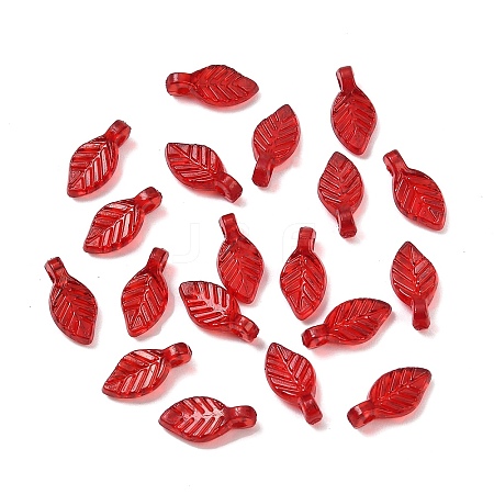 Transparent Acrylic Charms OACR-G054-02B-1