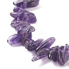 Natural Amethyst Chip Beaded Necklace NJEW-JN03824-03-4