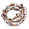 Natural Freshwater Shell Beads Strands SHEL-N026-124-2