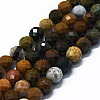 Natural Ocean Agate/Ocean Jasper Beads Strands G-G927-11-1