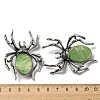 Dual-use Items Alloy Pave Dyed Shell Spider Brooch JEWB-C026-04G-AS-3