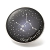 Twelve Constellation Creative Alloy Badges Constellation Brooches JEWB-S033-01P-I-1