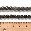 Natural Black Labradorite Beads Strands G-C205-A01-6mm-5
