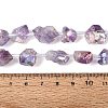 Electroplate Raw Rough Natural Amethyst Beads Strands G-Q610-06F-5
