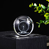 Inner Carving Glass Crystal Ball Diaplay Decoration PW-WGF6175-05-1