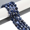 Natural Sodalite Beads Strands G-O201B-112G-1