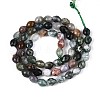 Natural Indian Agate Beads Strands G-T142-83-2