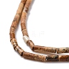 Natural Picture Jasper Beads Strands G-M389-12-3