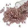TOHO 6/0 Round Beads SEED-XTR06-0267-1