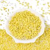 Glass Seed Beads & Bugle Beads SEED-Q041-04D-2
